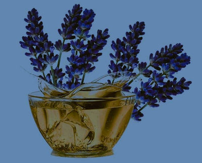 Lavender Oil Benefits for Curly Hair
