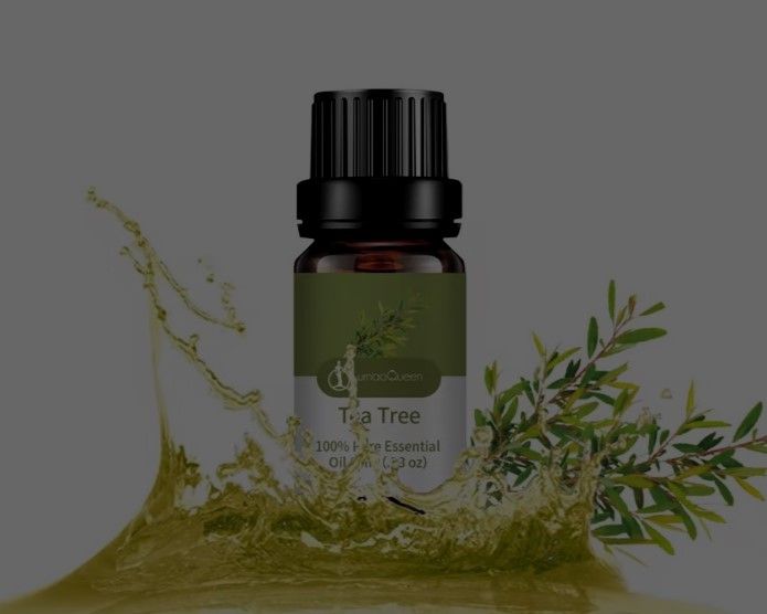 Tea Tree Oil Benefits for Curly Hair Health
